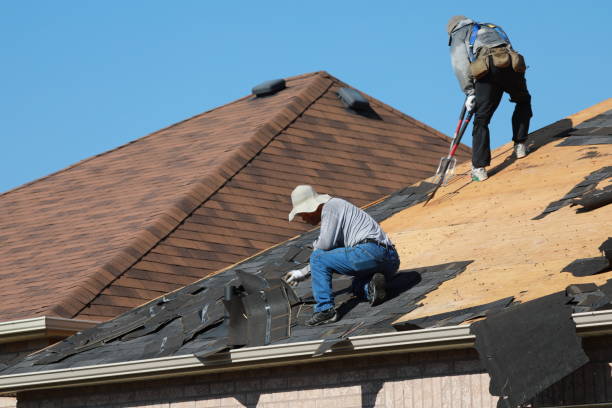 Best Roof Installation  in Dandridge, TN