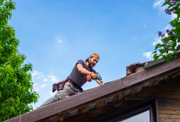 Best Asphalt Shingle Roofing  in Dandridge, TN