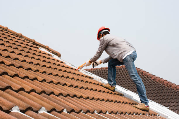 Best Roof Moss and Algae Removal  in Dandridge, TN