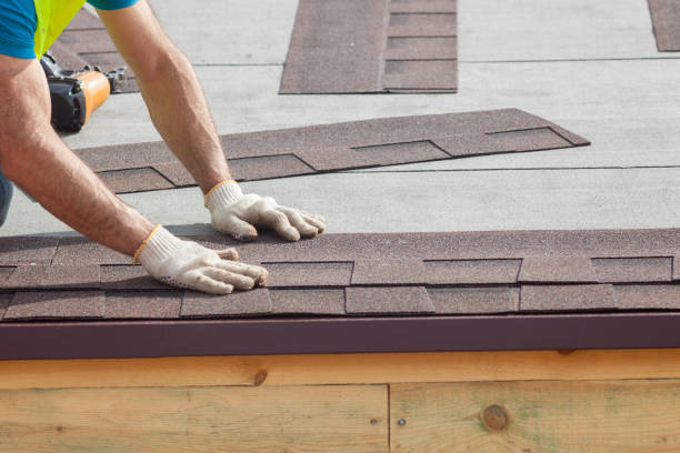 Best Metal Roofing Installation  in Dandridge, TN