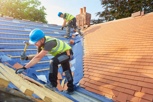 Best Roof Ventilation Installation  in Dandridge, TN
